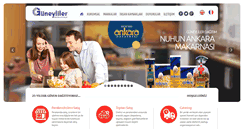 Desktop Screenshot of guneyliler.com.tr